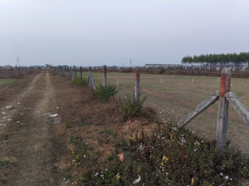 10 BHK 2 Bigha Farm House for Sale in Herbertpur, Dehradun