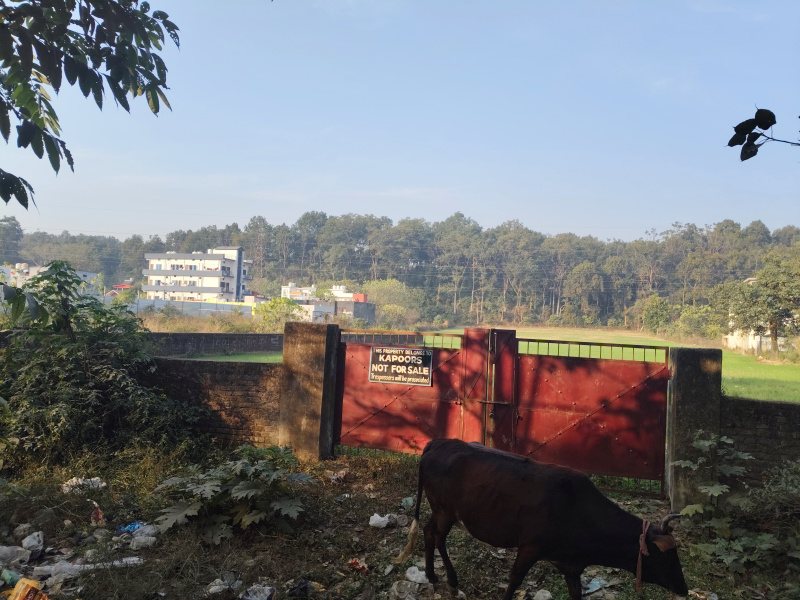  14 Bigha Hotels for Sale in Jhajra, Dehradun