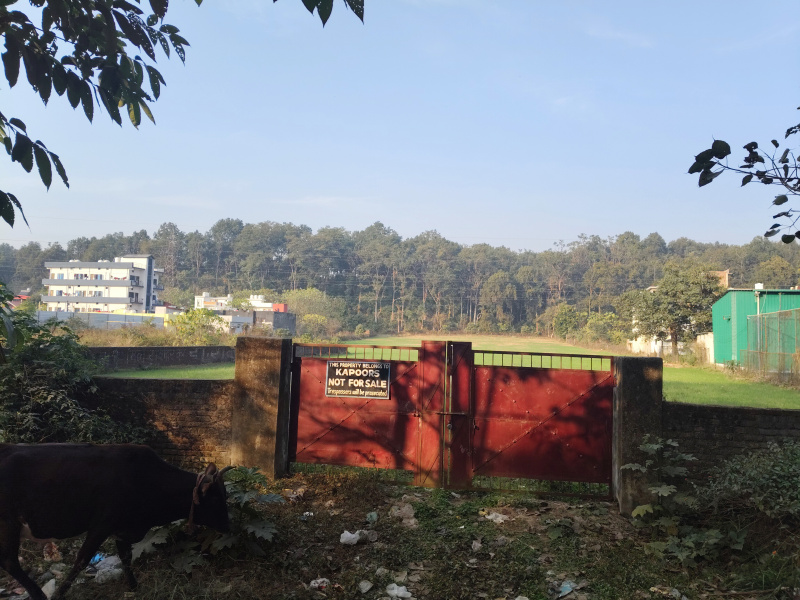  14 Bigha Hotels for Sale in Jhajra, Dehradun