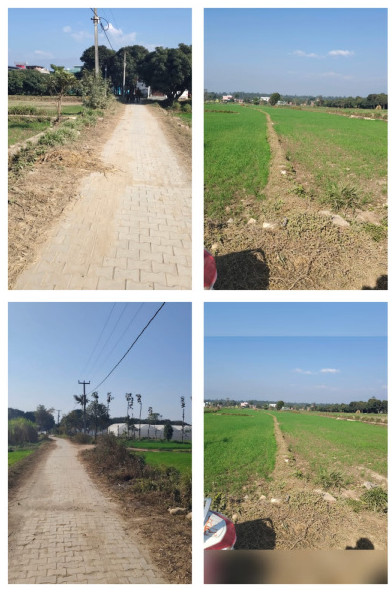  1 Bigha Agricultural/Farm Land for Sale in Vikas Nagar, Dehradun