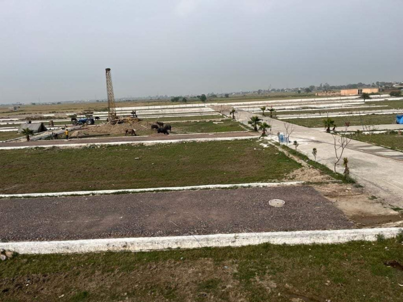  Residential Plot 1614 Sq.ft. for Sale in MIDC Tadali, Chandrapur