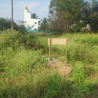  Agricultural Land for Sale in Bannur, Mysore