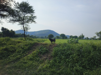  Agricultural Land for Sale in Naugaon, Alwar