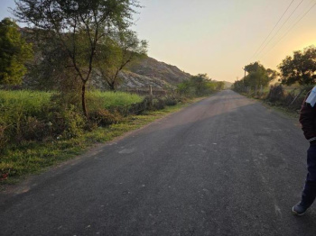  Agricultural Land for Sale in NEB Extension, Alwar