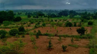  Agricultural Land for Sale in Bandikui, Dausa