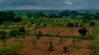  Agricultural Land for Sale in Bandikui, Dausa