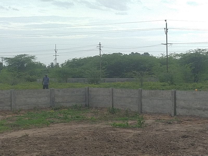 Palayaseevaram, Kanchipuram photo 3