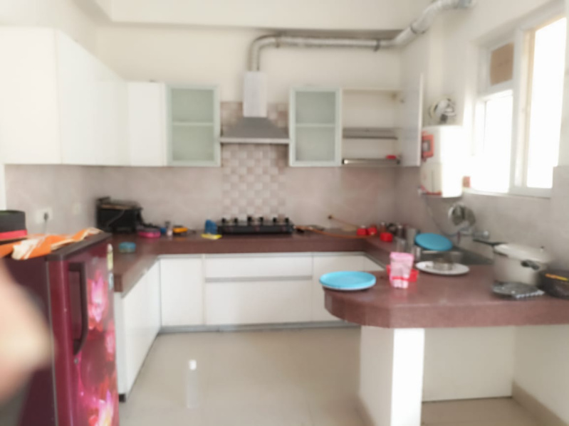 3 BHK Apartment 2300 Sq.ft. for Rent in Sector 110 Mohali