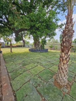  Residential Plot for Sale in Koni, Bilaspur