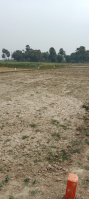  Residential Plot for Sale in Goradih, Bhagalpur