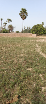  Residential Plot for Sale in Mujahid Pur, Bhagalpur