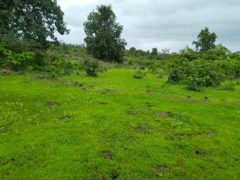  Agricultural Land for Sale in Murbad, Thane