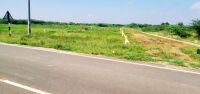  Residential Plot for Sale in Nedumkulam, Madurai
