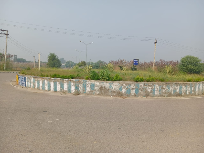  Residential Plot 183 Sq.ft. for Sale in IMT, Rohtak