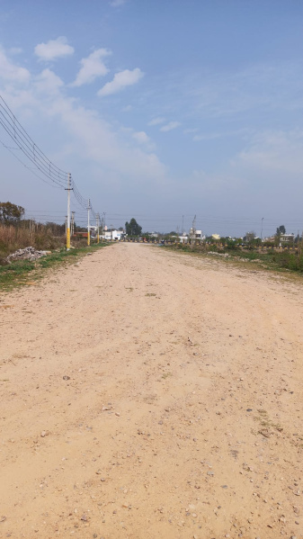  Residential Plot 264 Sq.ft. for Sale in Sector 27 Rohtak