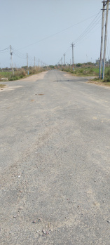  Residential Plot for Sale in Sector 27 Rohtak