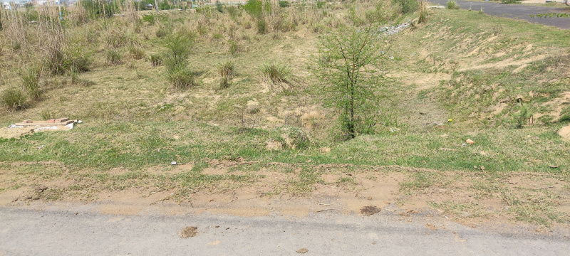  366 Sq. Yards Residential Plot for Sale in Sector 27 Rohtak