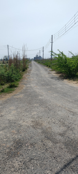  Residential Plot 130 Sq. Yards for Sale in Sector 27 Rohtak