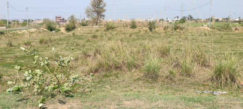  Residential Plot 359 Sq. Yards for Sale in Sector 27 Rohtak