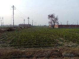  Residential Plot for Sale in Tronica City, Ghaziabad