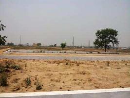  Residential Plot for Sale in Tronica City, Ghaziabad