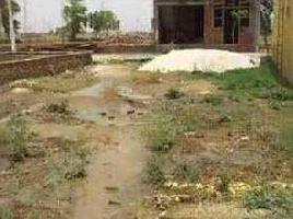  Residential Plot for Sale in Tronica City, Ghaziabad