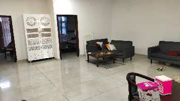 3 BHK Builder Floor for Rent in Sector 35 Sonipat