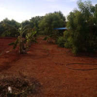 Agricultural Land for Sale in Sakkottai, Sivaganga