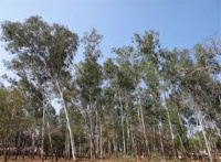  Residential Plot for Sale in Kothavalasa, Vizianagaram