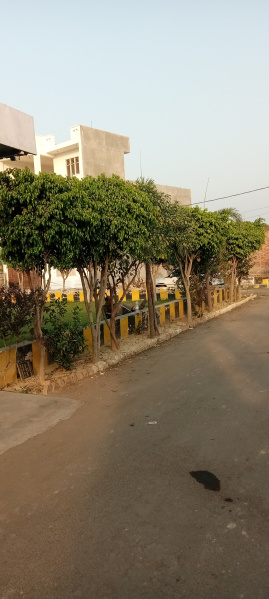  Residential Plot 1300 Sq.ft. for Sale in Bijnor Road, Bijnor Road, Lucknow