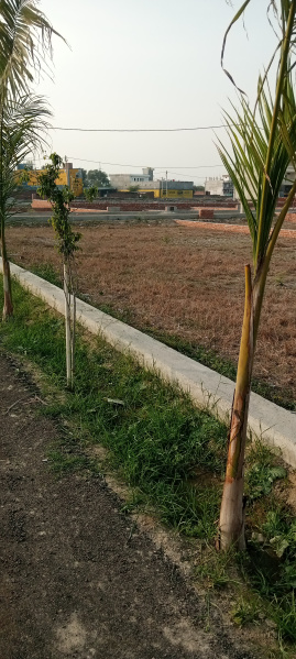  Residential Plot 1600 Sq.ft. for Sale in Bijnor Road, Bijnor Road, Lucknow