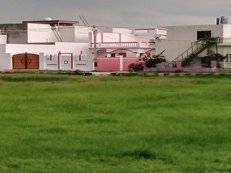  1000 Sq.ft. Residential Plot for Sale in Bijnor Road, Bijnor Road, Lucknow