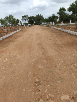  Residential Plot for Sale in Chotuppal, Hyderabad