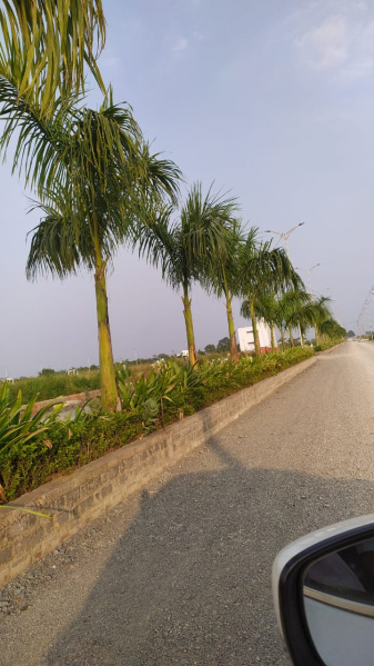  Residential Plot 1000 Sq.ft. for Sale in Old Dhamtari Road, Raipur