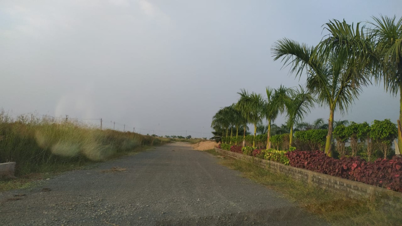  Residential Plot 1000 Sq.ft. for Sale in Old Dhamtari Road, Raipur