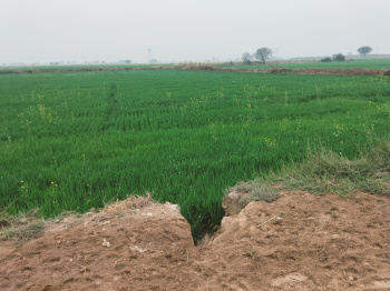  Agricultural Land for Sale in Tappal, Aligarh