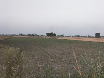  Agricultural Land for Sale in Jattari, Aligarh
