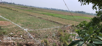  Commercial Land for Sale in Barbigha, Sheikhpura