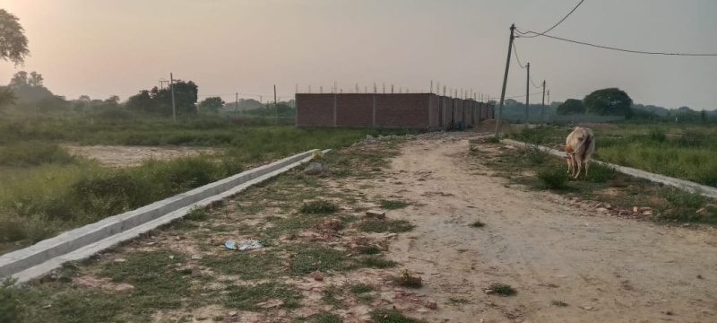  Residential Plot 1125 Sq.ft. for Sale in Arjunganj, Lucknow