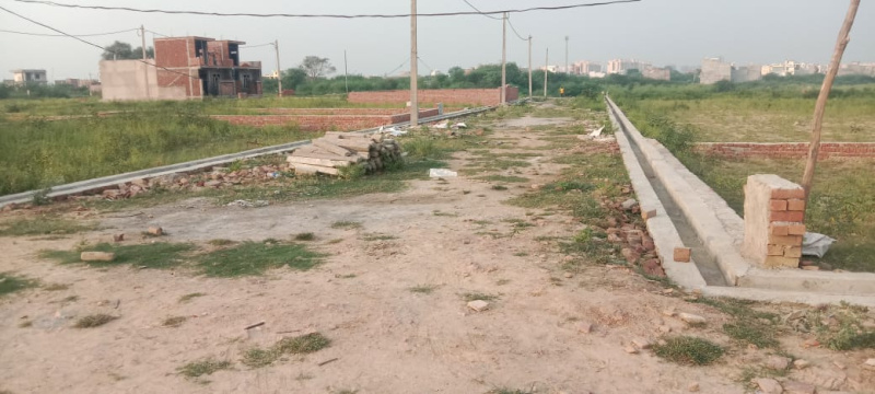  Residential Plot 1125 Sq.ft. for Sale in Arjunganj, Lucknow