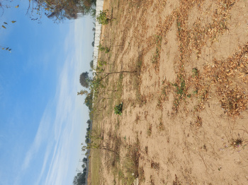  Agricultural Land for Sale in Karimnagar Highway, Hyderabad