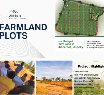  Agricultural Land for Sale in Shamirpet, Rangareddy