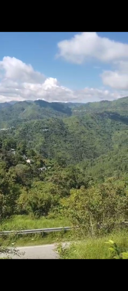  32000 Sq.ft. Residential Plot for Sale in Marchula, Almora