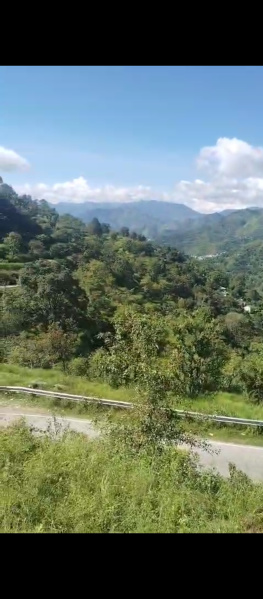  32000 Sq.ft. Residential Plot for Sale in Marchula, Almora