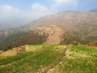  Agricultural Land for Sale in Kotabagh, Nainital