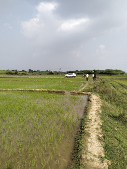  Agricultural Land for Sale in Vembakkam, Tiruvannamalai