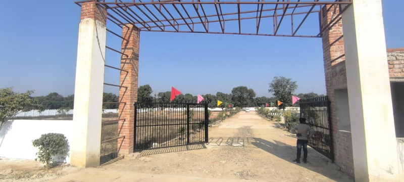  1000 Sq.ft. Residential Plot for Sale in Gosainganj, Lucknow