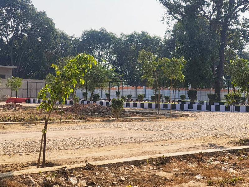  1000 Sq.ft. Residential Plot for Sale in Gosainganj, Lucknow