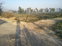  Commercial Land for Sale in Ayodhya, Faizabad
