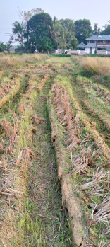  Agricultural Land for Sale in Kunnamkulam, Thrissur